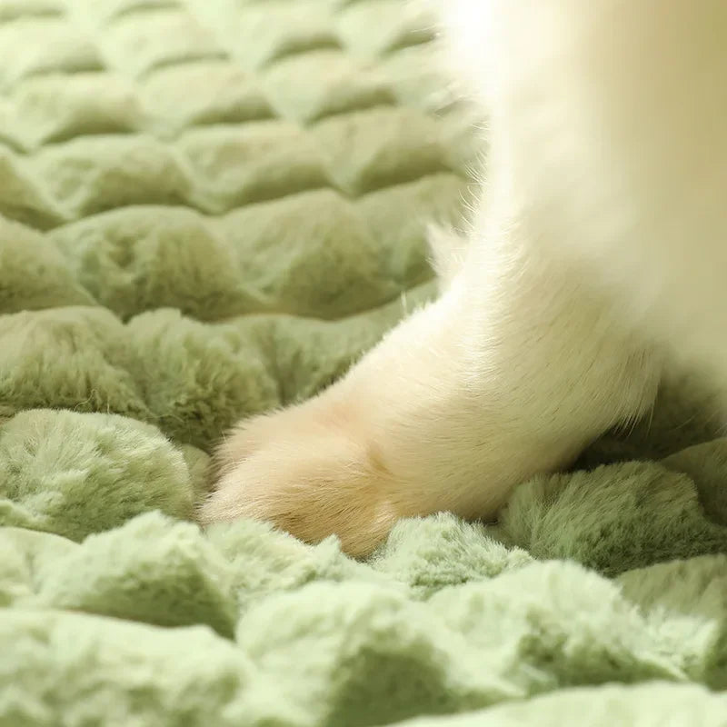 VELORA™ Calming Dog Bed – Luxury Foam Mat with Removable Cover
