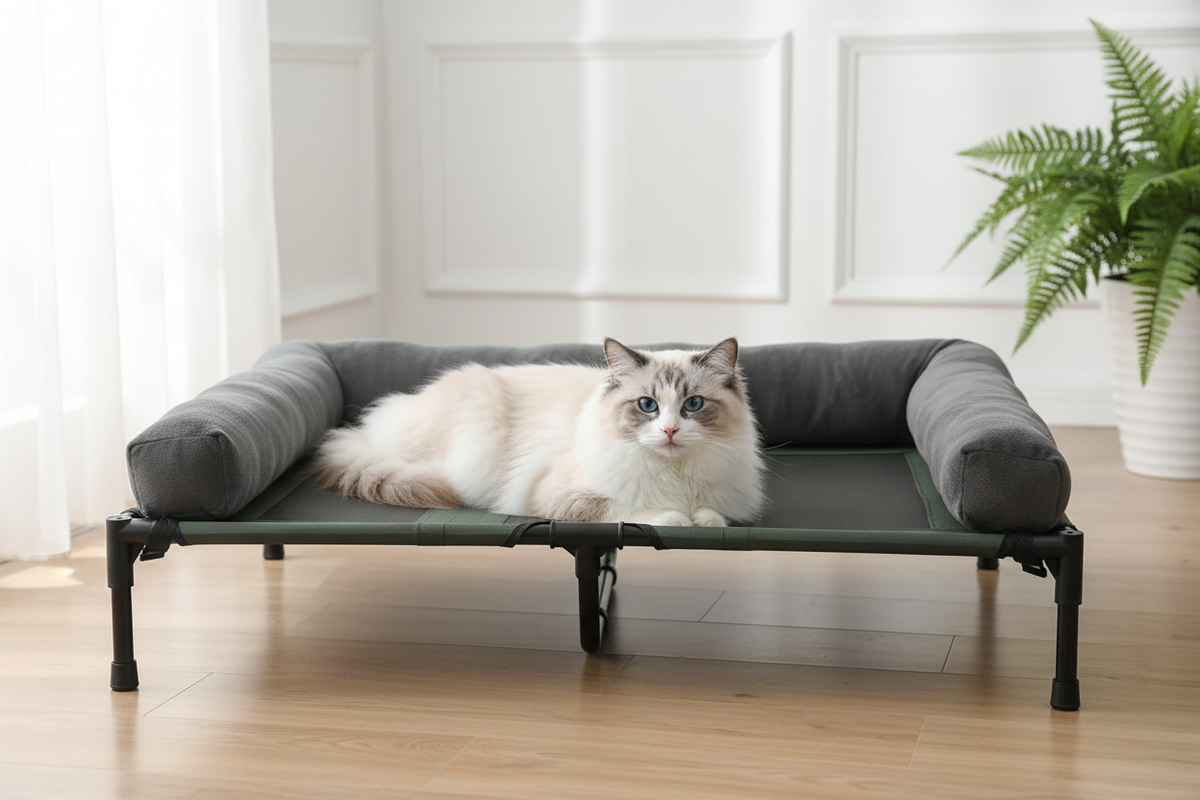 Cat resting on cooling elevated pet bed – Velora Pets